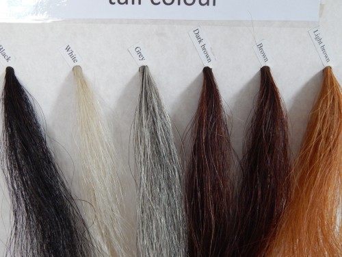 Horse hair colours
